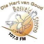 Bosveld Stereo